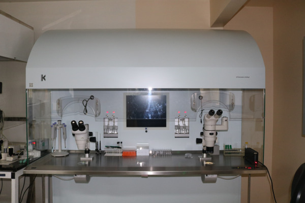 Capela IVF Workstation L126 Dual.JPG